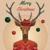Reindeer Christmas Card
