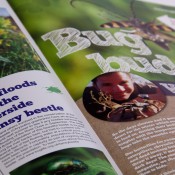 Bugs Newsletter